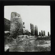 Böhl glass slide 61.1/1626